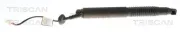 Gasfeder, Koffer-/Laderaum hinten links TRISCAN 8710 81212