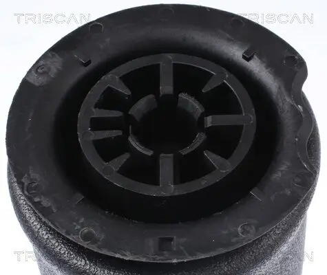 Luftfeder, Fahrwerk Hinterachse beidseitig TRISCAN 8720 11202 Bild Luftfeder, Fahrwerk Hinterachse beidseitig TRISCAN 8720 11202