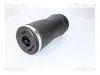 Luftfeder, Fahrwerk Hinterachse links TRISCAN 8720 11205