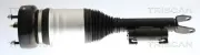 Luftfederbein Vorderachse links TRISCAN 8720 23104