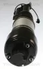 Luftfederbein TRISCAN 8720 23105 Bild Luftfederbein TRISCAN 8720 23105