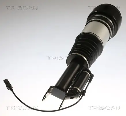 Luftfederbein TRISCAN 8720 23105 Bild Luftfederbein TRISCAN 8720 23105