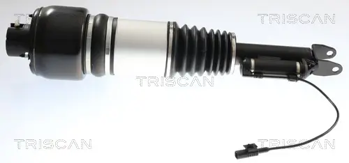 Luftfederbein TRISCAN 8720 23106