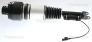 Luftfederbein TRISCAN 8720 23106