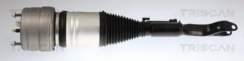 Luftfederbein Vorderachse rechts TRISCAN 8720 23109