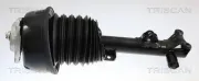 Luftfederbein Vorderachse rechts TRISCAN 8720 23113