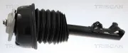 Luftfederbein Vorderachse links TRISCAN 8720 23114