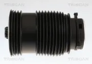 Luftfeder, Fahrwerk Hinterachse links TRISCAN 8720 23208