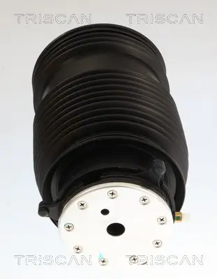 Luftfeder, Fahrwerk Hinterachse links TRISCAN 8720 23208 Bild Luftfeder, Fahrwerk Hinterachse links TRISCAN 8720 23208