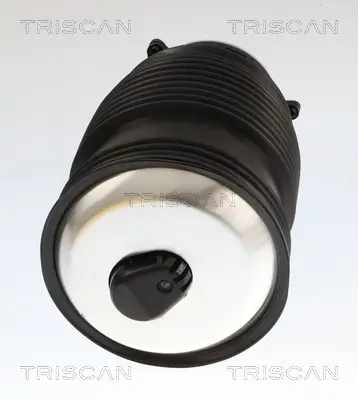 Luftfeder, Fahrwerk Hinterachse links TRISCAN 8720 23208 Bild Luftfeder, Fahrwerk Hinterachse links TRISCAN 8720 23208