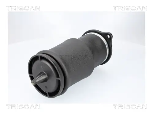 Luftfeder, Fahrwerk Hinterachse beidseitig TRISCAN 8720 23210