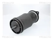 Luftfeder, Fahrwerk Hinterachse beidseitig TRISCAN 8720 23210