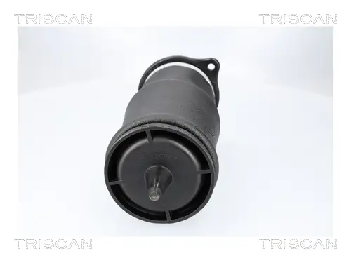 Luftfeder, Fahrwerk Hinterachse beidseitig TRISCAN 8720 23210 Bild Luftfeder, Fahrwerk Hinterachse beidseitig TRISCAN 8720 23210