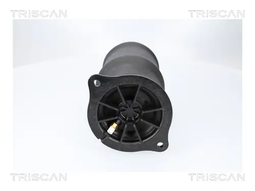 Luftfeder, Fahrwerk Hinterachse beidseitig TRISCAN 8720 23210 Bild Luftfeder, Fahrwerk Hinterachse beidseitig TRISCAN 8720 23210