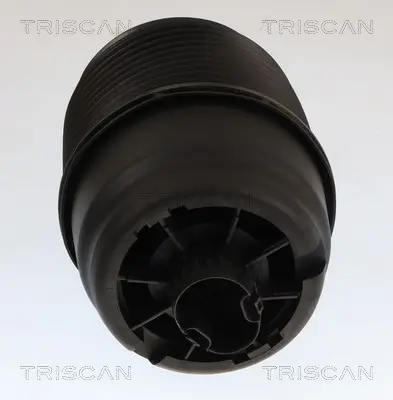 Luftfeder, Fahrwerk Hinterachse beidseitig TRISCAN 8720 23212 Bild Luftfeder, Fahrwerk Hinterachse beidseitig TRISCAN 8720 23212