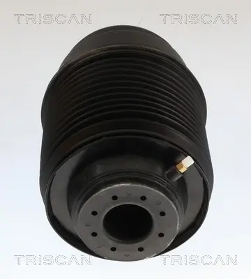 Luftfeder, Fahrwerk Hinterachse beidseitig TRISCAN 8720 23212 Bild Luftfeder, Fahrwerk Hinterachse beidseitig TRISCAN 8720 23212