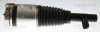 Luftfederbein Vorderachse links TRISCAN 8720 27102 Bild Luftfederbein Vorderachse links TRISCAN 8720 27102
