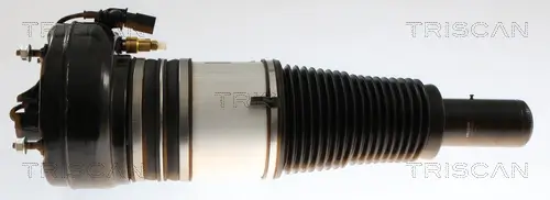 Luftfederbein Vorderachse beidseitig TRISCAN 8720 29105