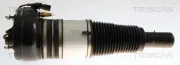 Luftfederbein Vorderachse beidseitig TRISCAN 8720 29105