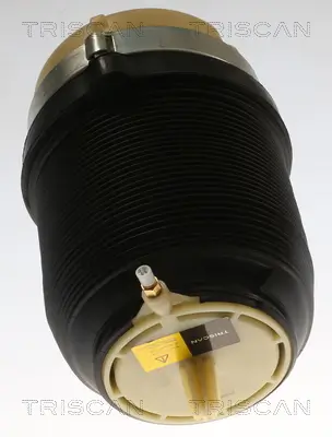 Luftfeder, Fahrwerk Hinterachse beidseitig TRISCAN 8720 29202 Bild Luftfeder, Fahrwerk Hinterachse beidseitig TRISCAN 8720 29202