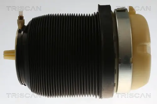 Luftfeder, Fahrwerk Hinterachse beidseitig TRISCAN 8720 29202 Bild Luftfeder, Fahrwerk Hinterachse beidseitig TRISCAN 8720 29202