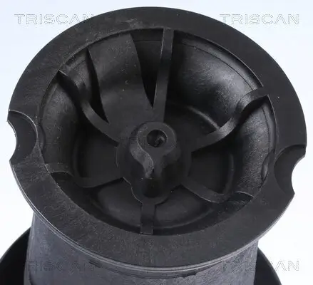 Luftfeder, Fahrwerk Hinterachse beidseitig TRISCAN 8720 38201 Bild Luftfeder, Fahrwerk Hinterachse beidseitig TRISCAN 8720 38201