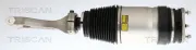 Luftfederbein Vorderachse rechts TRISCAN 8720 81103
