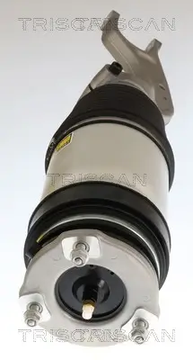 Luftfederbein Vorderachse rechts TRISCAN 8720 81103 Bild Luftfederbein Vorderachse rechts TRISCAN 8720 81103