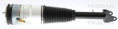 Luftfederbein Vorderachse beidseitig TRISCAN 8720 81105