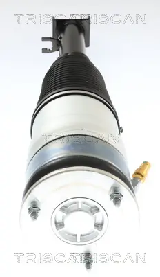 Luftfederbein Vorderachse beidseitig TRISCAN 8720 81105 Bild Luftfederbein Vorderachse beidseitig TRISCAN 8720 81105