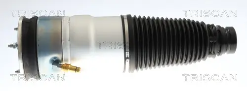 Luftfeder, Fahrwerk Vorderachse beidseitig TRISCAN 8720 81106