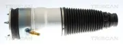 Luftfeder, Fahrwerk Vorderachse beidseitig TRISCAN 8720 81106