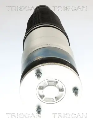 Luftfeder, Fahrwerk Vorderachse beidseitig TRISCAN 8720 81106 Bild Luftfeder, Fahrwerk Vorderachse beidseitig TRISCAN 8720 81106