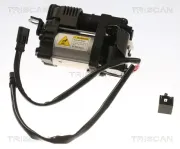 Kompressor, Druckluftanlage TRISCAN 8725 27101