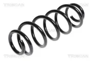 Fahrwerksfeder Hinterachse TRISCAN 8750 1041