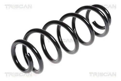 Fahrwerksfeder Hinterachse TRISCAN 8750 1041 Bild Fahrwerksfeder Hinterachse TRISCAN 8750 1041