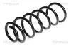 Fahrwerksfeder Hinterachse TRISCAN 8750 1043