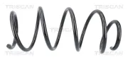 Fahrwerksfeder Vorderachse TRISCAN 8750 1064