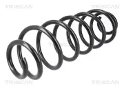Fahrwerksfeder Hinterachse TRISCAN 8750 1065