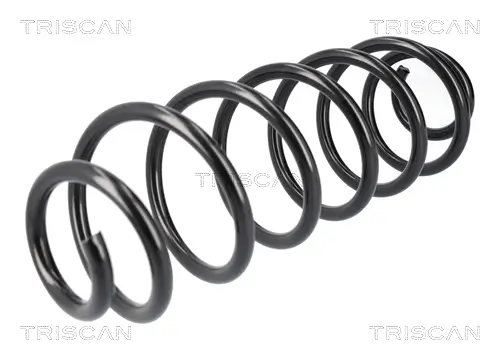 Fahrwerksfeder Hinterachse TRISCAN 8750 1065 Bild Fahrwerksfeder Hinterachse TRISCAN 8750 1065