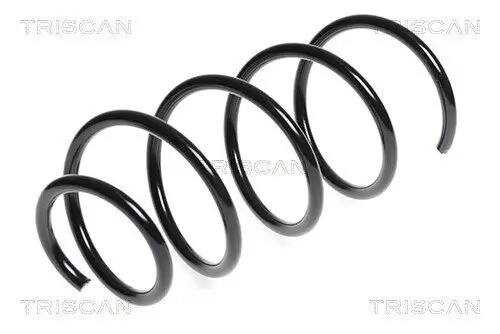 Fahrwerksfeder Vorderachse TRISCAN 8750 11101
