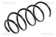 Fahrwerksfeder Vorderachse TRISCAN 8750 11101