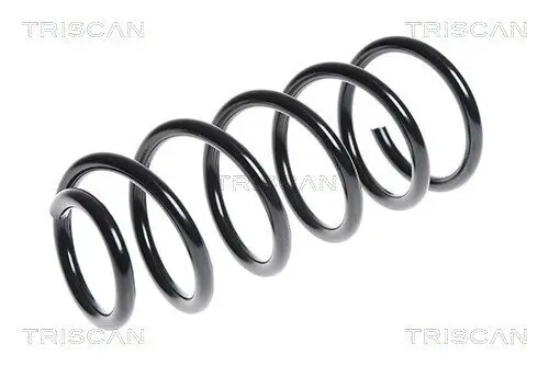 Fahrwerksfeder Hinterachse TRISCAN 8750 11106