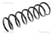 Fahrwerksfeder Hinterachse TRISCAN 8750 11131