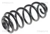 Fahrwerksfeder Hinterachse TRISCAN 8750 11134