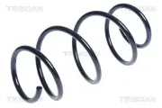 Fahrwerksfeder Vorderachse TRISCAN 8750 11143
