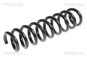 Fahrwerksfeder Hinterachse TRISCAN 8750 11147