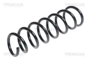 Fahrwerksfeder Vorderachse TRISCAN 8750 11149