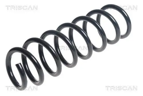 Fahrwerksfeder Vorderachse TRISCAN 8750 11175