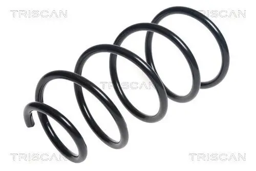 Fahrwerksfeder Vorderachse TRISCAN 8750 11182